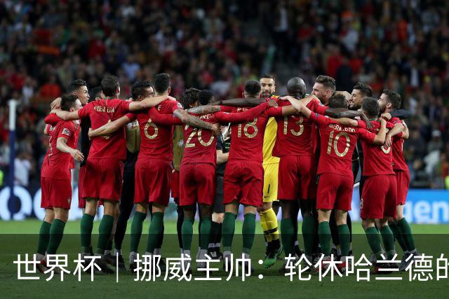 世界杯｜挪威主帅：轮休哈兰德的决定没问题