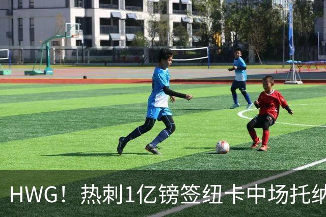 HWG！热刺1亿镑签纽卡中场托纳利 今夏1.85亿镑签2中场