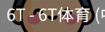 6T体育